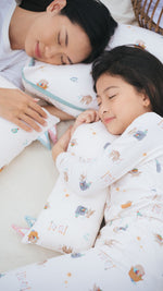 Load image into Gallery viewer, (Casing) Lovey & Pillow - Laundry