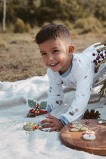 Load image into Gallery viewer, Toddler Pyjamas set - Fly High
