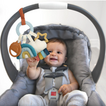 Load image into Gallery viewer, *PRE-ORDER* Save Our Planet Gift Set (BLANKET)
