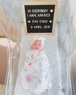 Load image into Gallery viewer, Bamboo Swaddle - Fresca
